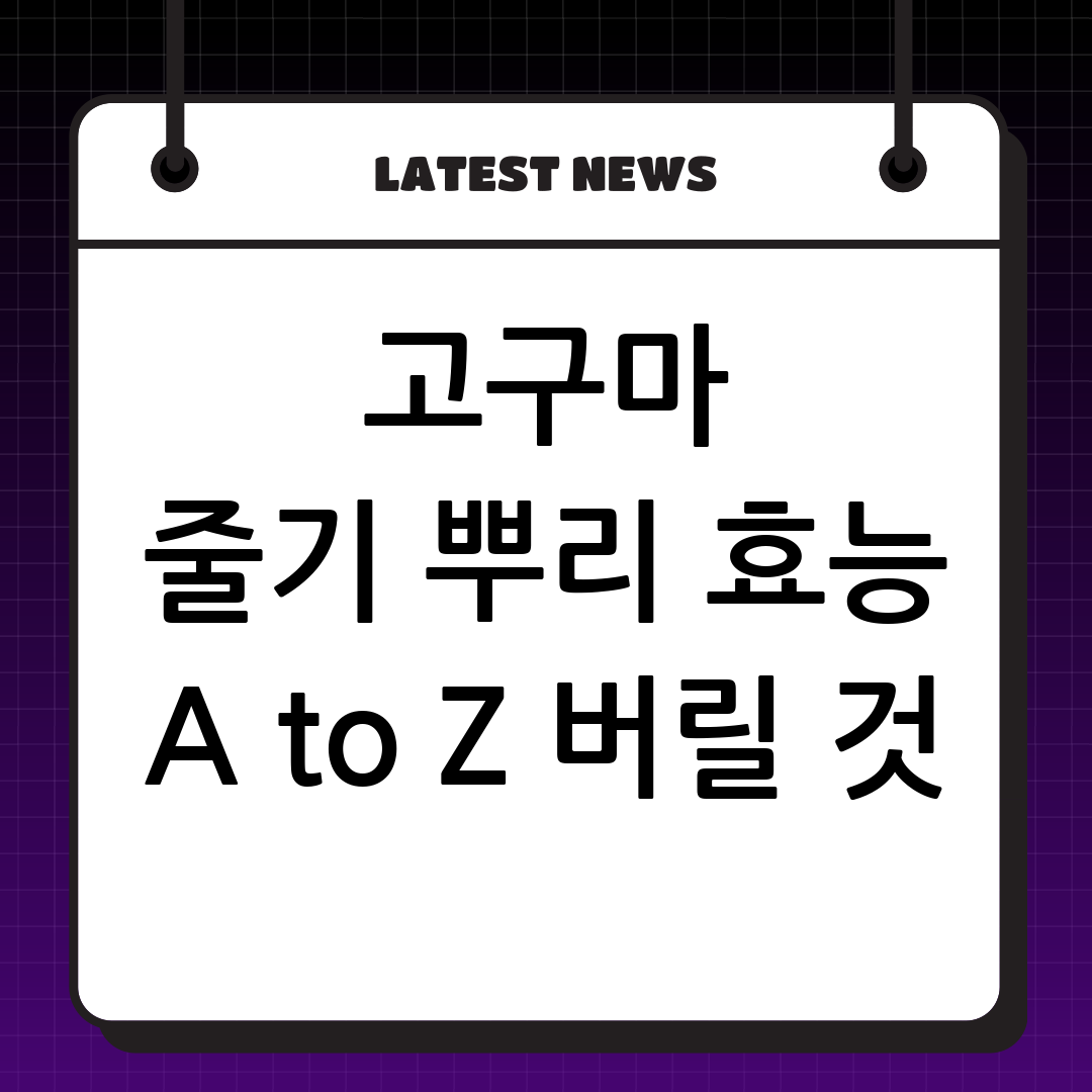 썸네일
